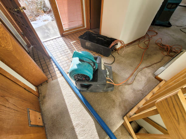 Best Ceiling water damage repair  in Caway, AR