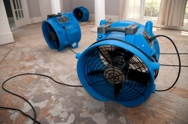 Best Water damage restoration near me  in Caway, AR