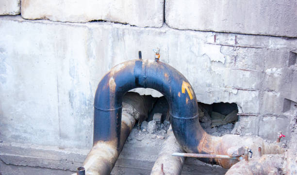 Best Mold removal after water damage  in Caway, AR
